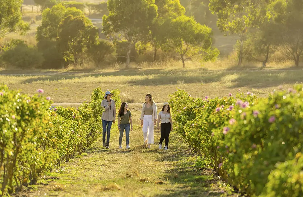 Adelaide Hills ©Tourism Australia / South Australia Tourism Commission – comfort travel trend