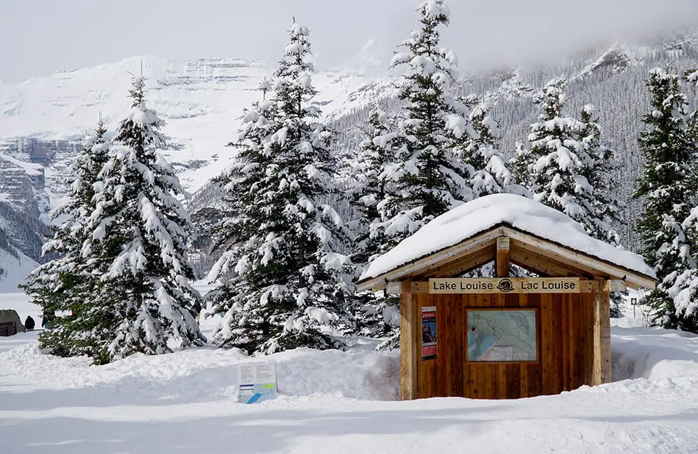 G Adventures launches largest-ever Canada program in 2026, including Arctic expeditions to Iceland 3 Lake Louise in Banff National Park, Alberta, Canada. Image: G Adventures