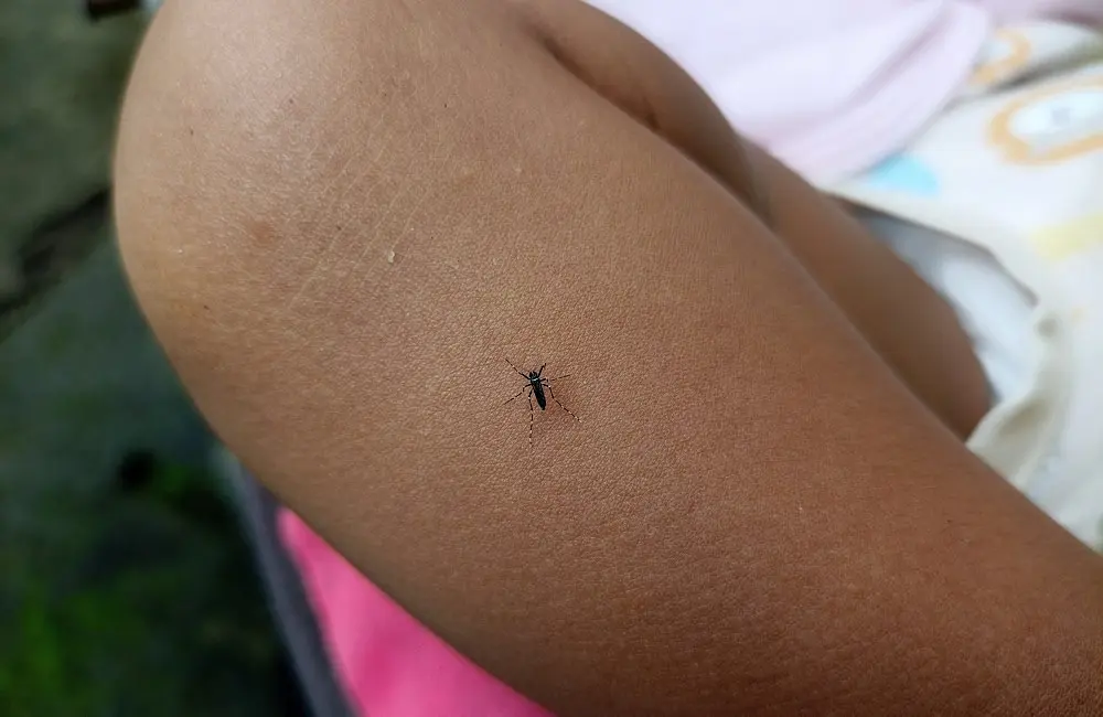 Travel gone wrong: The destinations behind 2024’s most expensive emergencies 2 Bali bites back: insect-borne diseases like dengue fever led to ICU stays and $135,000 medical evacuations in 2024.