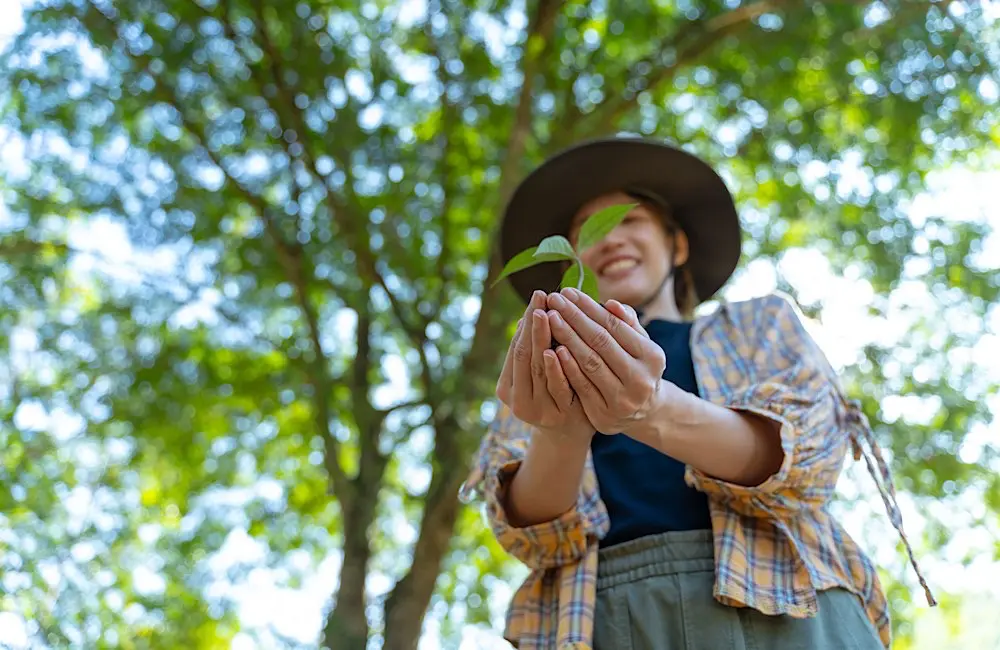 How to offset your travel emissions: A Karryon case study