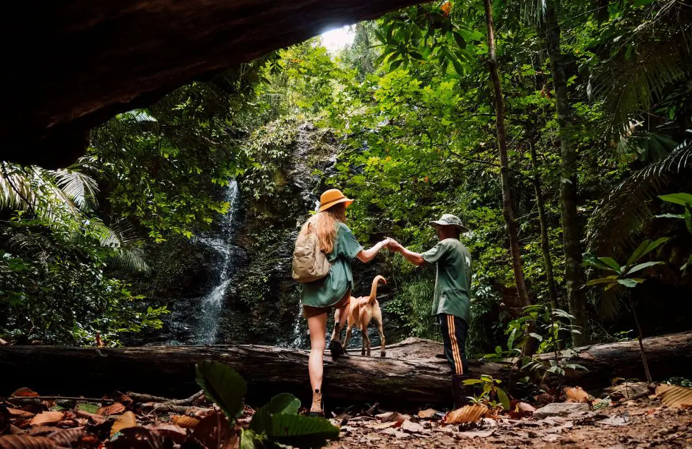 The White Lotus effect: Minor Hotels has stars in its eyes for set-jetting following surge in bookings 3 Minor has launched a series of Jurassic Park experiences at its properties on Krabi