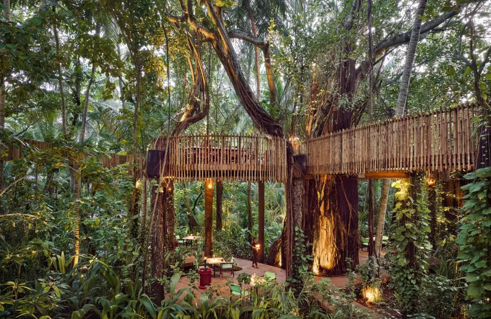 Maldives luxury surf resort reopens after major transformation 2 Niyama Private Islands Maldives Nest dining in the treetops