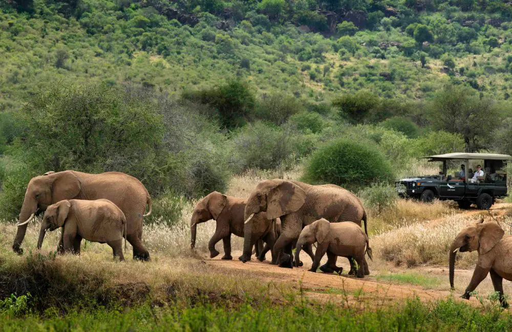 &Beyond opens luxury safari lodge on private conservancy in northern Kenya 2 On safari with andBeyond Suyian Lodge