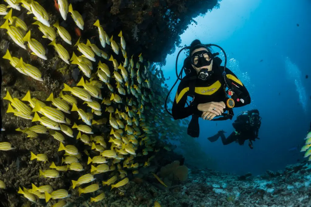 Multi-lingual, multi-talented expedition expert Jorge Villamarin talks Pearl Expeditions 3 Raja Ampat diving image (Image Unsplash)