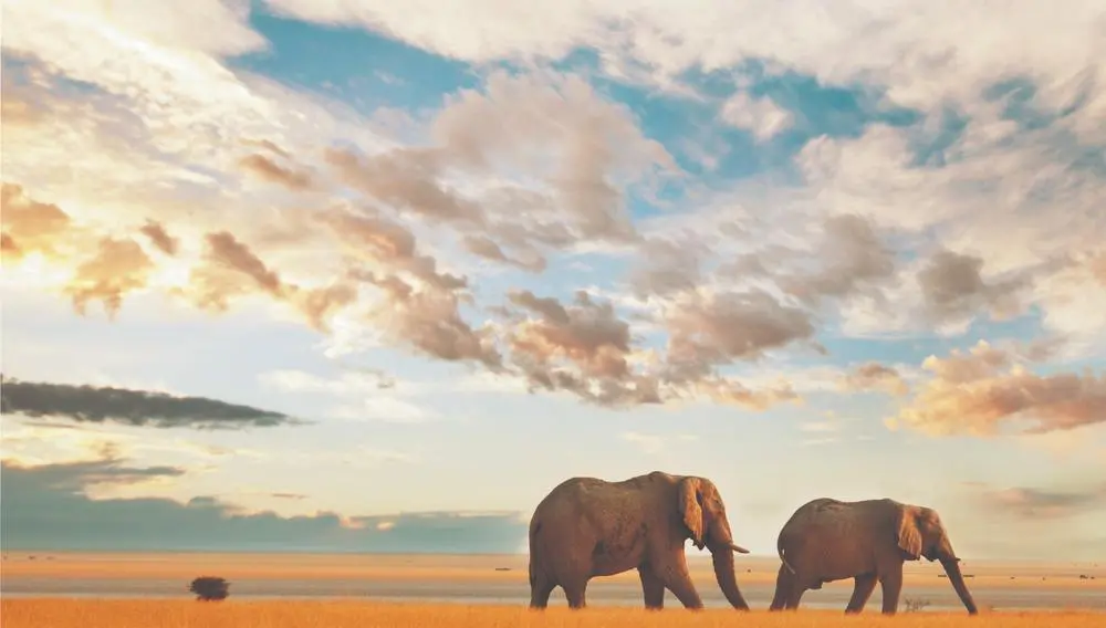 Regent launches 2027-2028 voyages—here’s what agents need to know 2 regent, world cruise