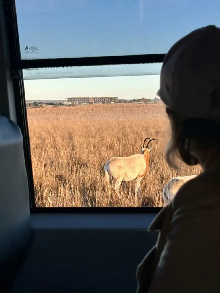 Monarto Safari Resort review: First look at the Aussie safari experience that feels like Africa 7 Monarto Safari Resort