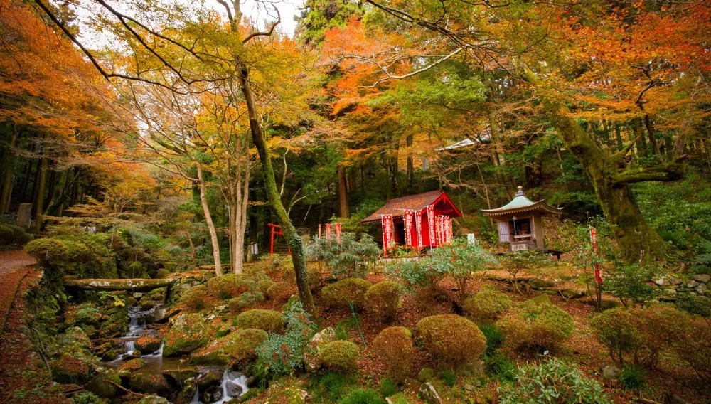 Book Kyushu, win Japan—this TAAP incentive is heating up 2 kyushu expedia taap