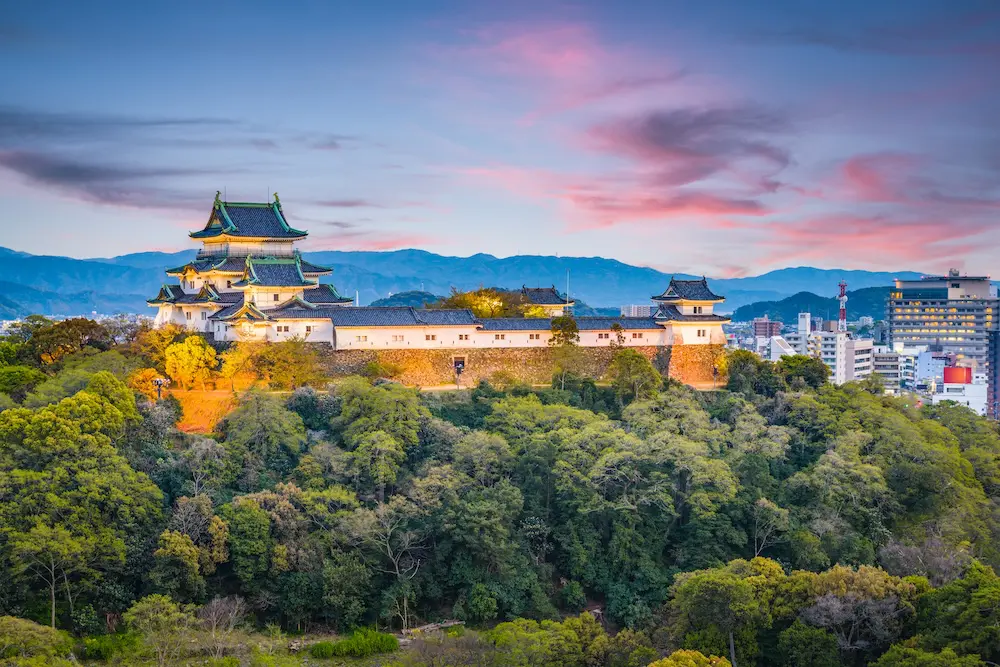 The numbers behind the rise of Japan’s “less visited” regions with Aussies 2 Wakayama City, Japan castle park and downtown cityscape at dusk.