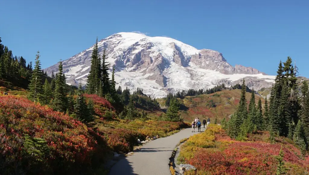Travel to Seattle, Mother Nature’s City, with Viva Holidays and Cruiseco 3 Seattle
