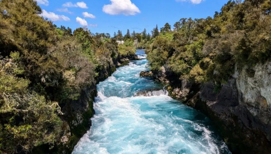 Want 440+ discounts for a self-famil in New Zealand? We share how 1 1000x568 4 7