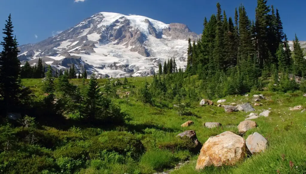 Travel to Seattle, Mother Nature’s City, with Viva Holidays and Cruiseco 6 1000x568 6 5