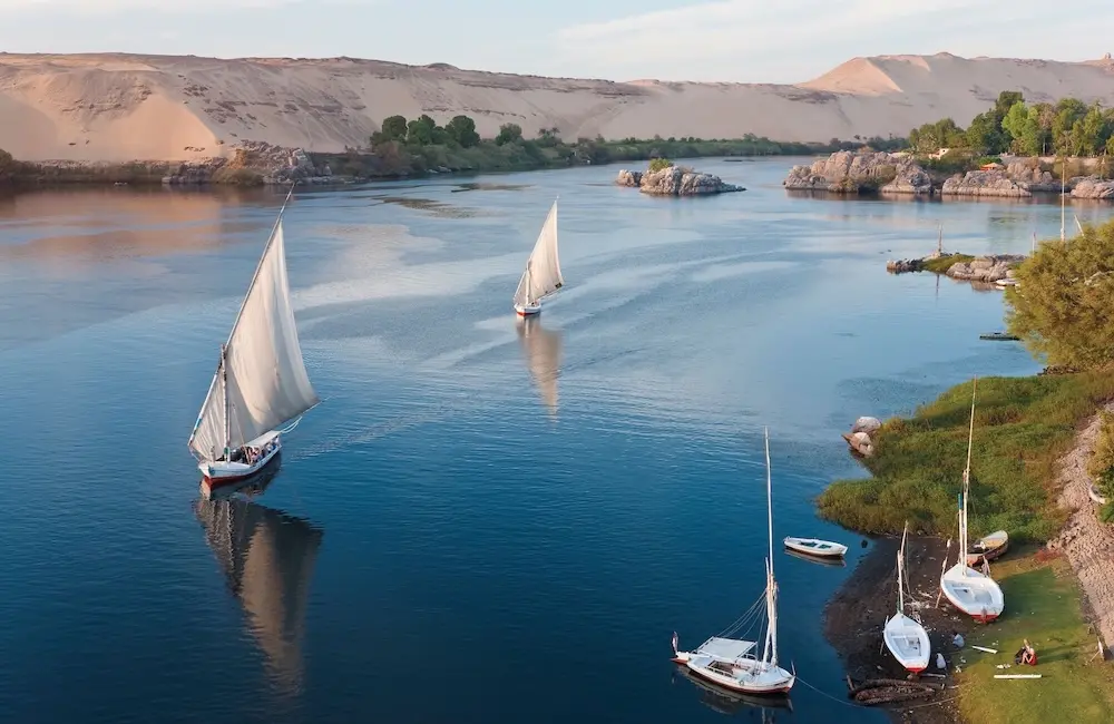 Adventure World joins CLIA, going all in as an Executive Partner to boost cruise-land journeys