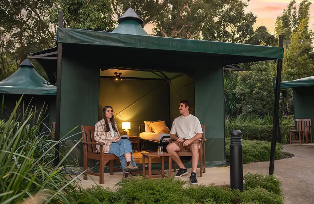 More Zen, less stress? Wellness wave ushers new 'era of enrichment' for Aussie tourism 3 Our Great Escape -Roar Snore - Taronga Zoo. Image: Big Red Group