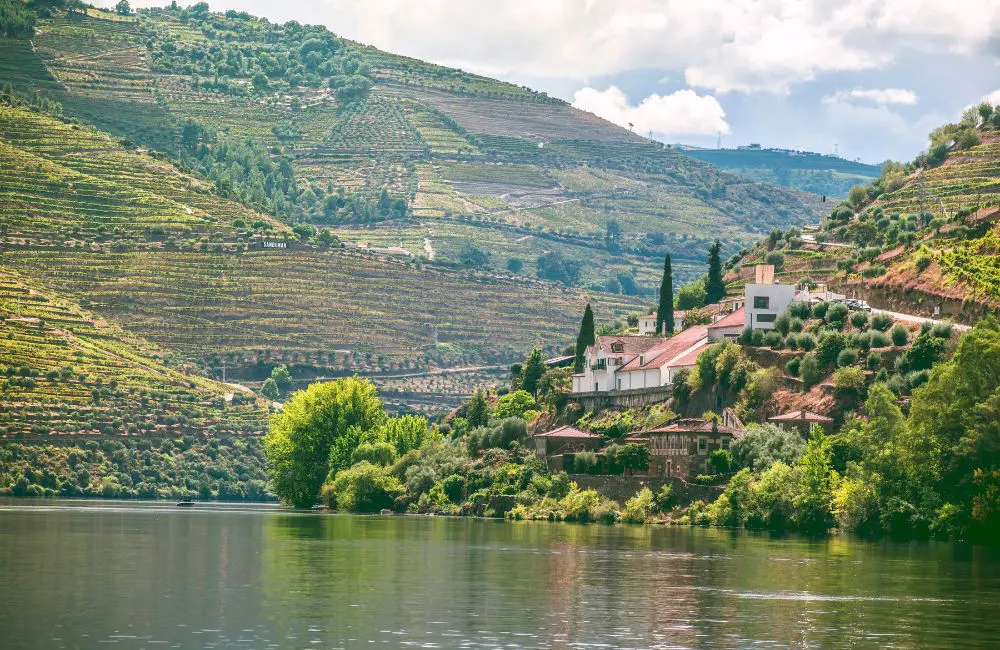 Ship review: Donna Kranas on board Viking Torgil on the Douro River 6 Douro River © Rach Sam
