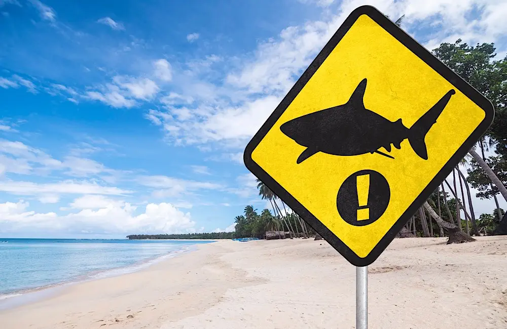 Domestic travel claims cost Aussies more than international ones 2 Even domestic travel has its dangers—some less visible than others.