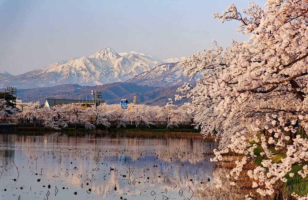 Gate 7 expands regional Japan portfolio with new Tourism Exchange Japan appointments