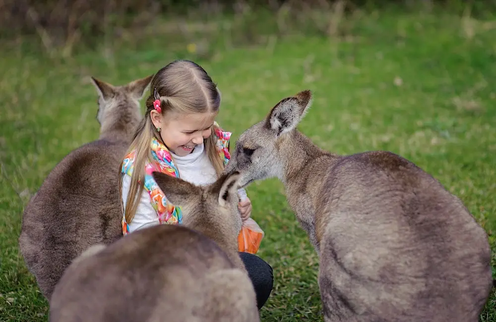 NSW bets big on visitor economy growth with $91 billion target