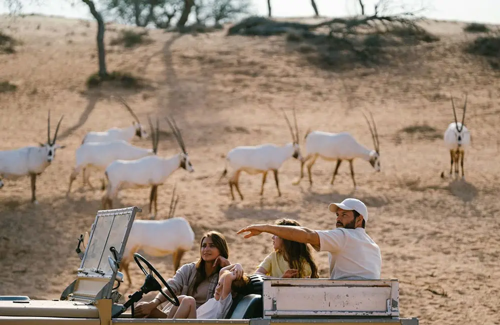 Al Wadi desert safari in Ras Al Khaimah. Image: RAKTDA