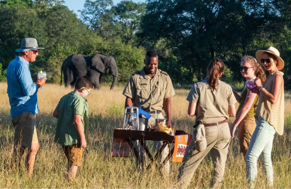 From screens to savannahs: Surge in family travel to luxury safaris in Africa
