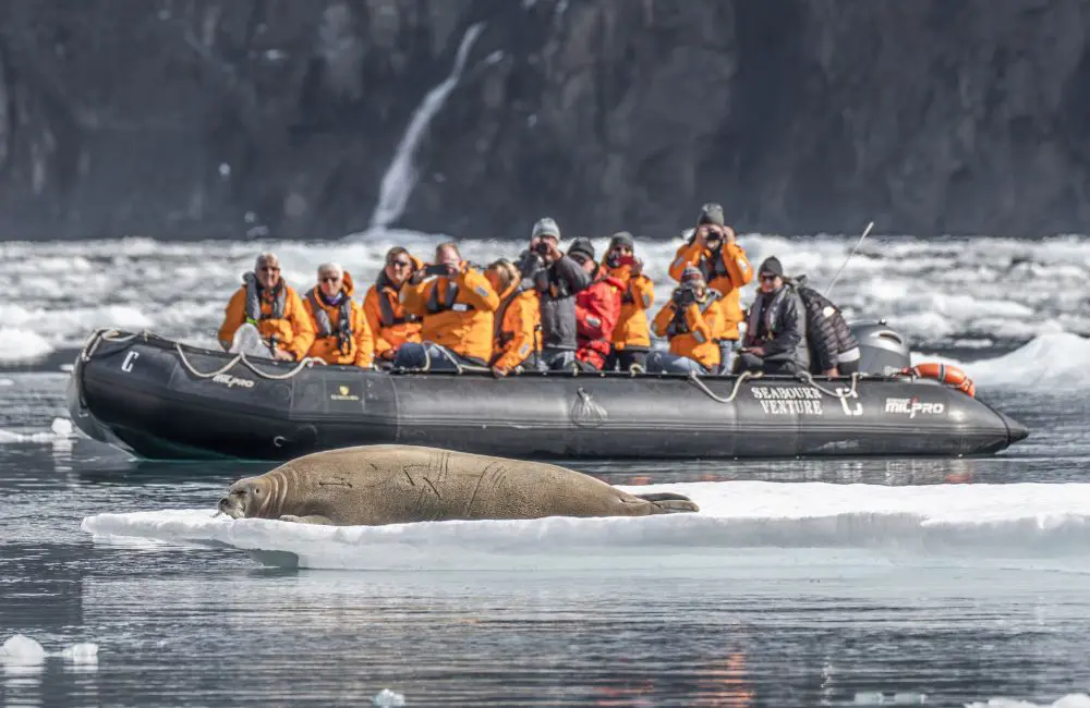 Exclusive: Seabourn's Robin West on the cruise line's new itineraries and first Pole to Pole voyage 3 Seabourn Venture zodiac trip in Kujalleq, Greenland