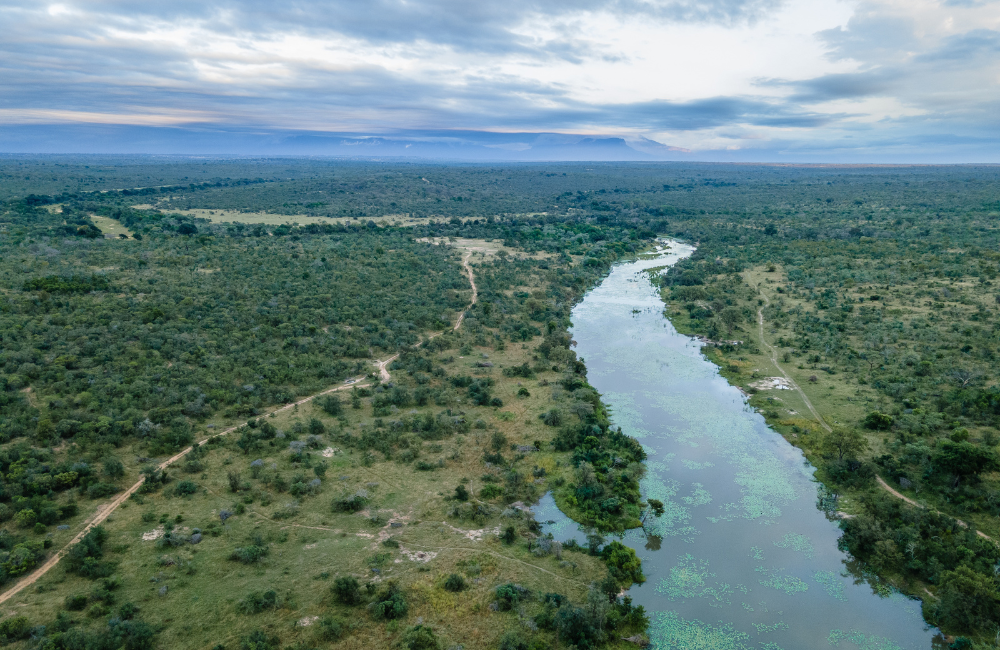 From screens to savannahs: Surge in family travel to luxury safaris in Africa 3 Sandringham, Timbavati River