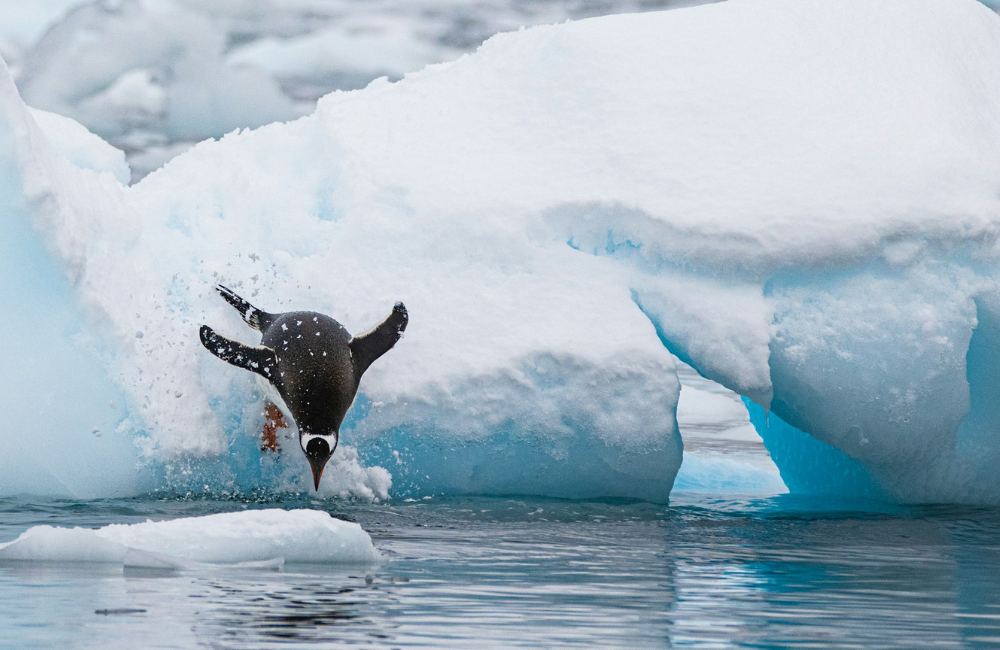 Antarctica © Birger Strahl
