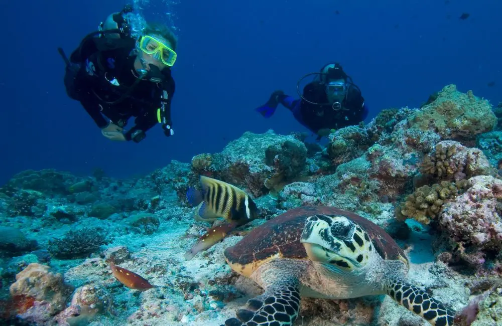 Six Senses Fiji launches new marine restoration program for guests