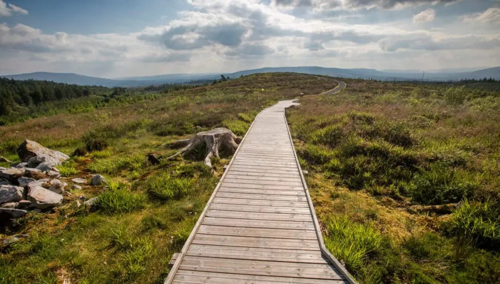 Are Ireland's Hidden Heartlands the antidote to modern life? (spoiler: yes, they are) 4 1000x568 29