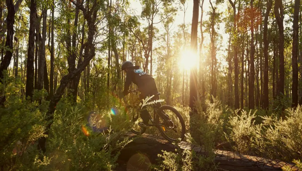 Leave the everyday behind on Western Australia’s South West Nature & Wine Drive 2 1000x568 4
