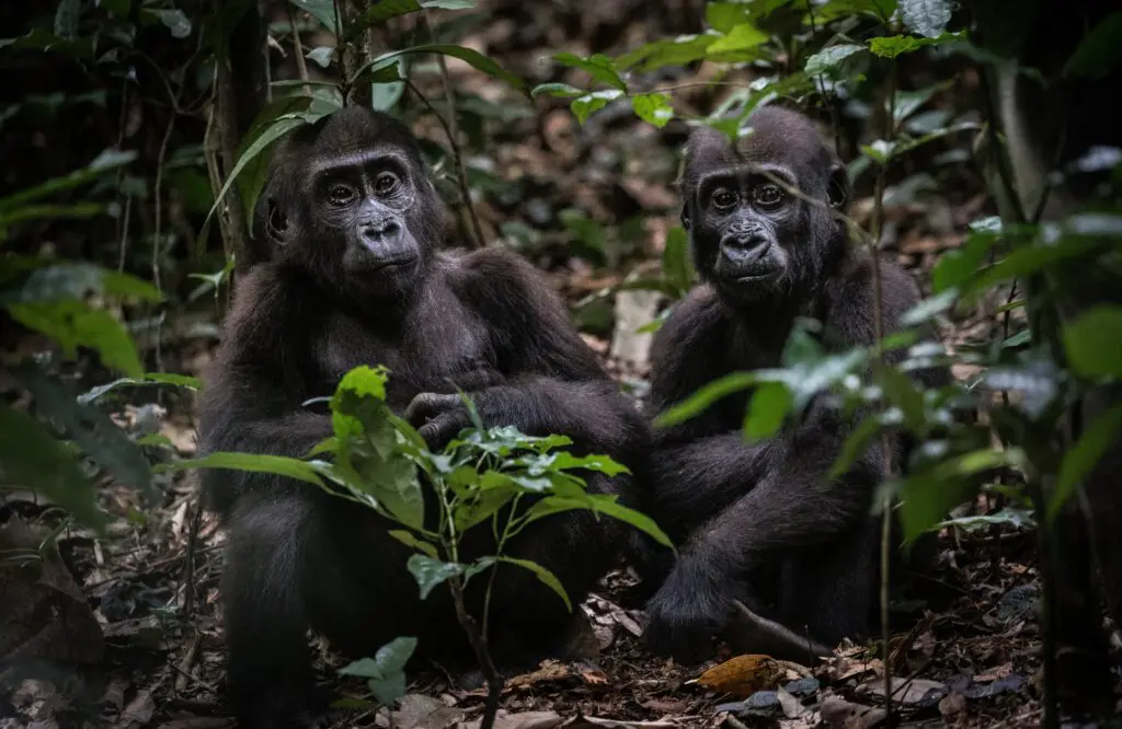 Eight of the best luxury philanthropy experiences that give back to community