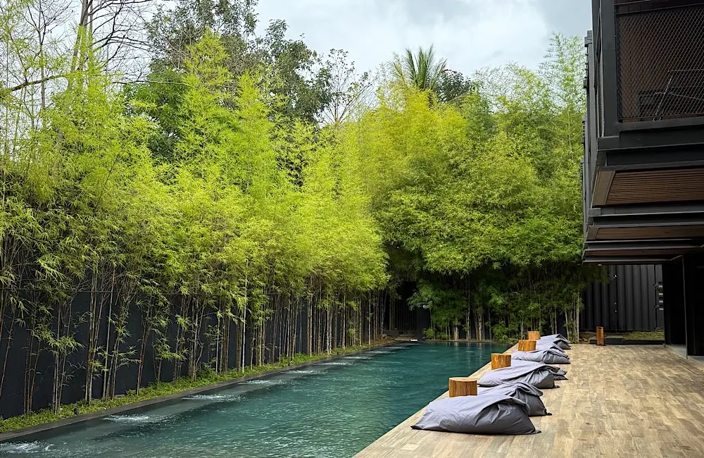 HOTEL REVIEW: The Funny Lion Coron, the boutique hotel travellers keep crowning king 1 Even the poolside is considered. Clean lines, soft textures, and privacy offered by a wall of whispering bamboo. Coron