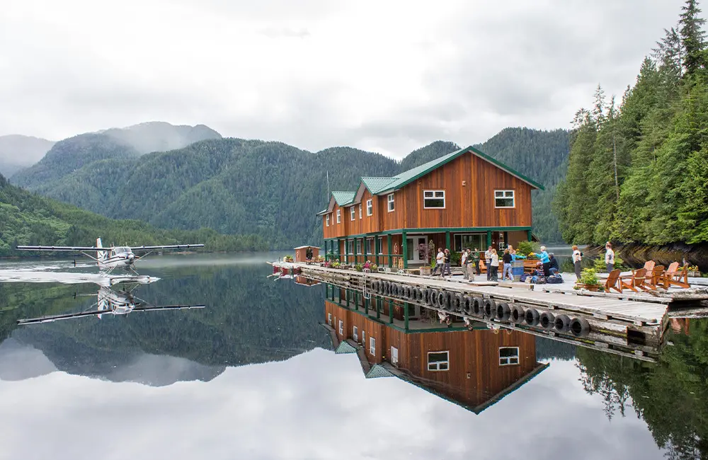 Guardians of the Grizzlies: Protecting the Great Bear Rainforest through responsible tourism with Marg Leehane 2 Great Bear Lodge Grizzly viewing Canada, Karryon