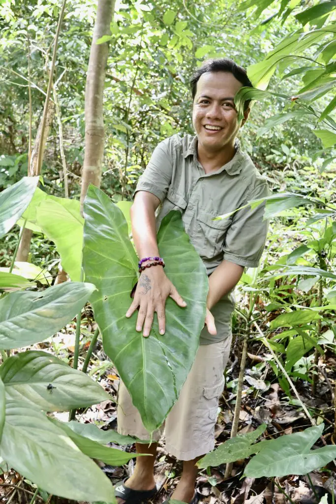 Hotel review: Song Saa, the Cambodian private island resort leading the charge in marine conservation 3 Song Saa's nature guide and botanist Vichea Sok
