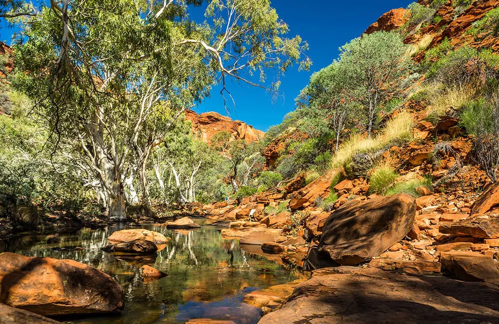 Kings Canyon creek in the NT. HLO 2026 Global Stars destination