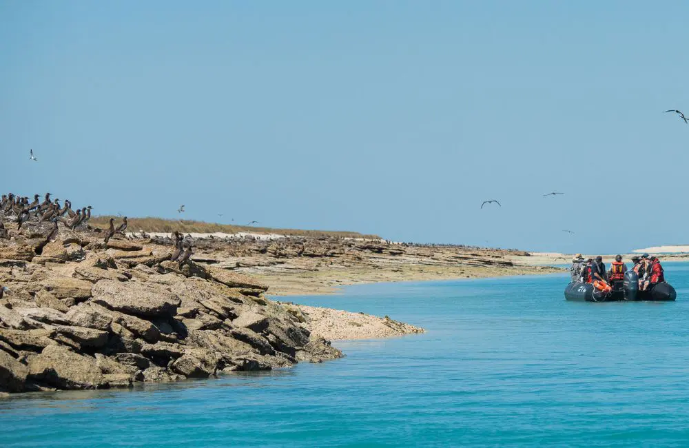 Zodiac tours in the region Seabourn Pursuit with APT
