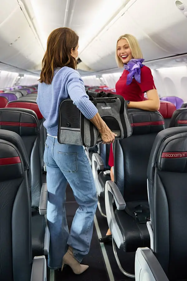 Paws up! Virgin Australia trials first-ever Pets in Cabin flights on select domestic routes 3 Boarding the aircraft with pet carrier – Virgin Australia Pets in Cabin service