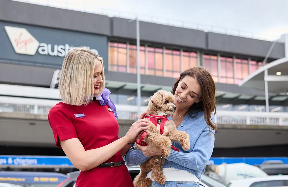 Paws up! Virgin Australia trials first-ever Pets in Cabin flights on select domestic routes