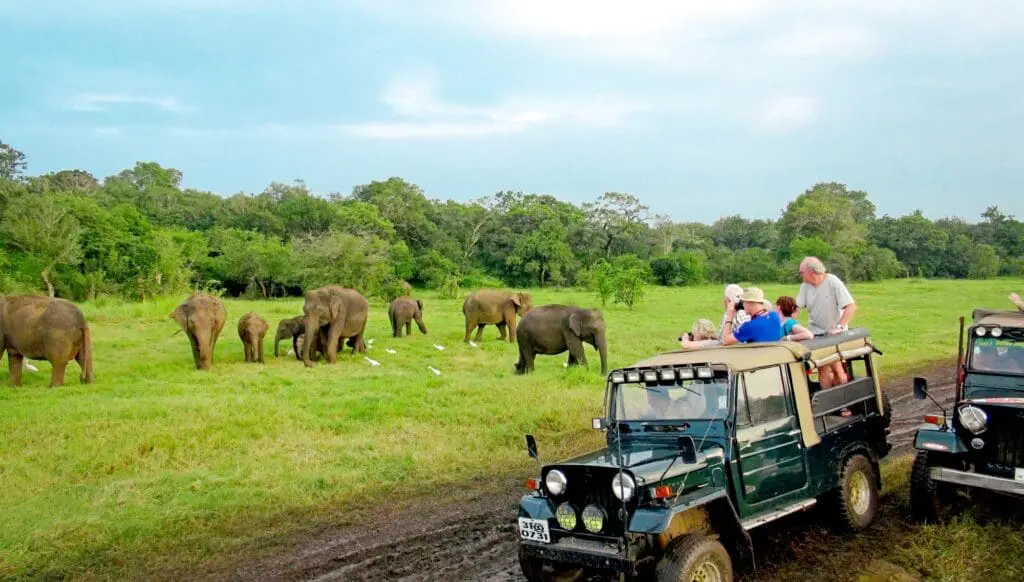 Take the Bunnik Tours' incentive quiz + sales tips to help you win 3 1000x568 41