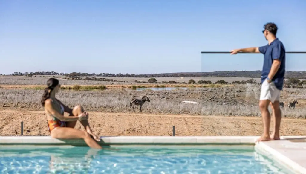 Give them a gift they’ll actually love this Christmas (hint: there are zebras) 6 1000x568 53