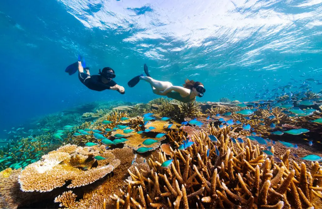 Get 'Up for Unexpected' with these new Viva Holidays packages