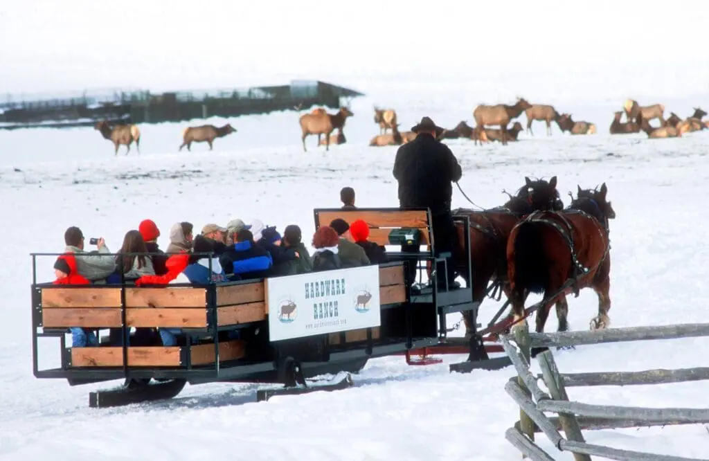 Discover Logan & Cache Valley, Northern Utah’s best-kept secrets 4 1000x650 12 7