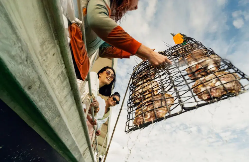 Save up to $2,200 on select AAT Kings land tours