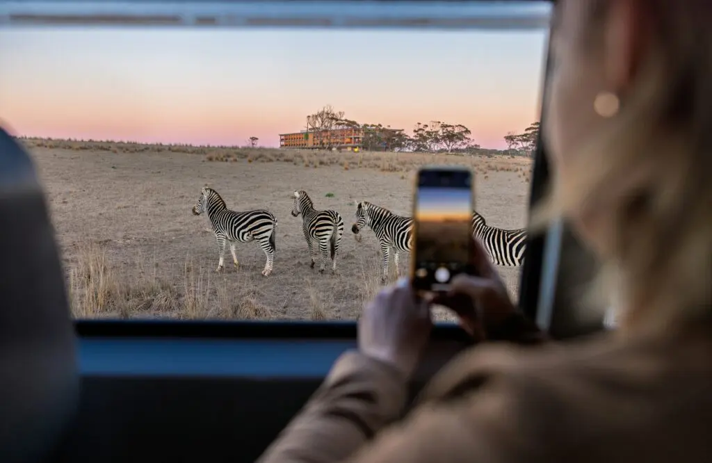 Give them a gift they’ll actually love this Christmas (hint: there are zebras)