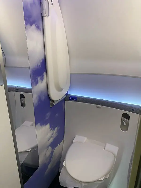 American Airlines' new-to-Australia redesigned B787-9 aircraft is now flying to Brisbane. Here’s what’s on board 5 Flagship Suite bathroom on the redesigned B787-9P aircraft. Image: Cassie Tannenberg