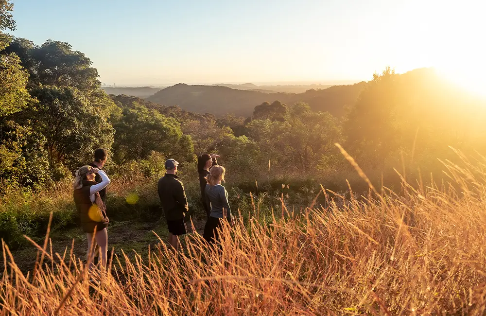 “It’s a decision detox”: Matt Du Bois on how Gwinganna Lifestyle Retreat found its rhythm and loyal following 2 Gwinganna walks