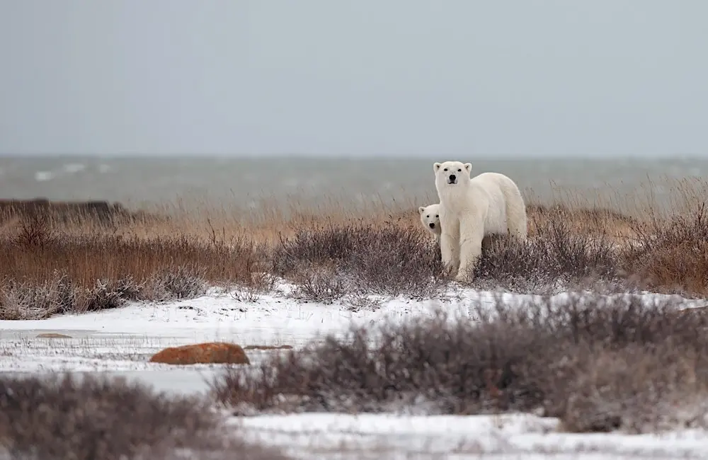 Adventure World’s new Canada campaign unlocks year‑round opportunities for agents