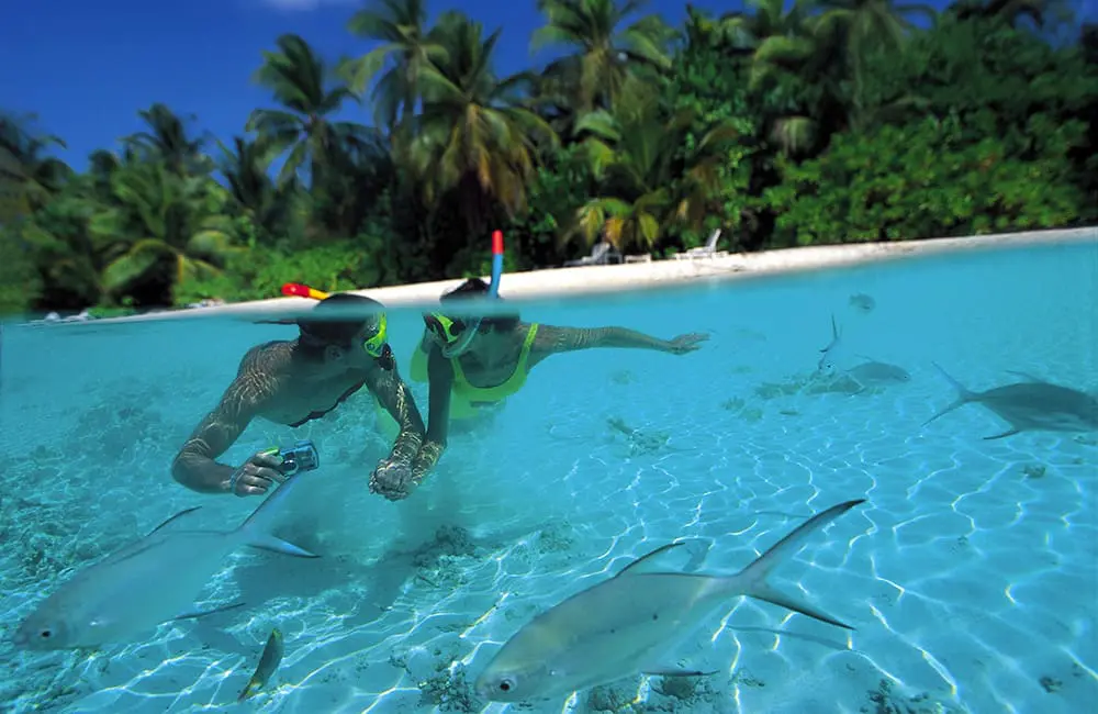 Luxury, leisure & late nights: Norwegian Spirit returns to Australia for adult-focused adventures in December 2025 3 Couple snorkelling in the South Pacific. Image: NCL