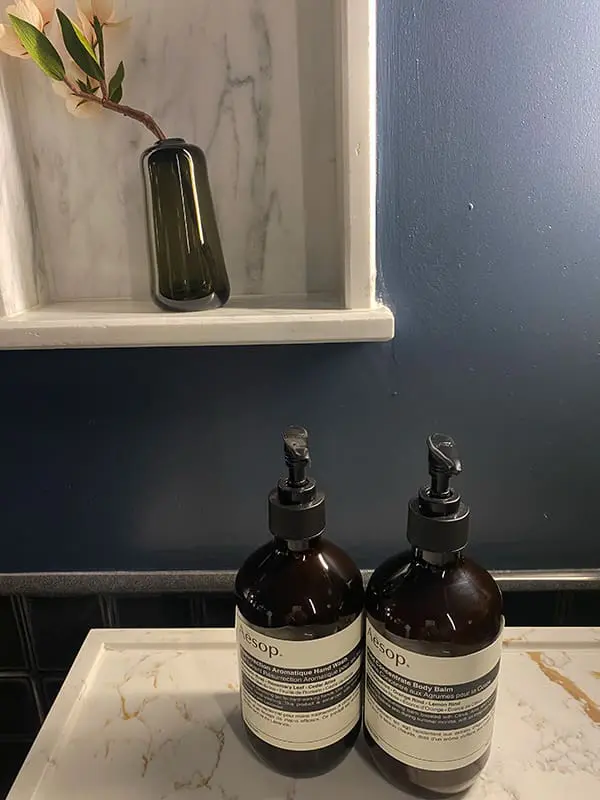 Hotel review: Downtown style meets sustainable lifestyle at Populus Seattle 11 Aesop pump dispenser amenities in the bathrooms. Image: Cassie Tannenberg