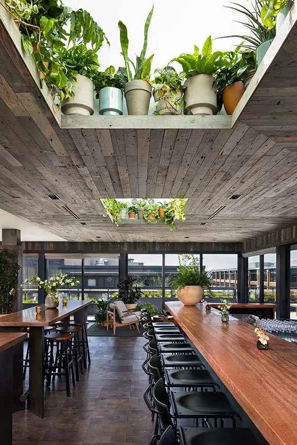 Hotel review: Downtown style meets sustainable lifestyle at Populus Seattle 15 Plants cascade inside and out at Firn. Image: Ric Stovall