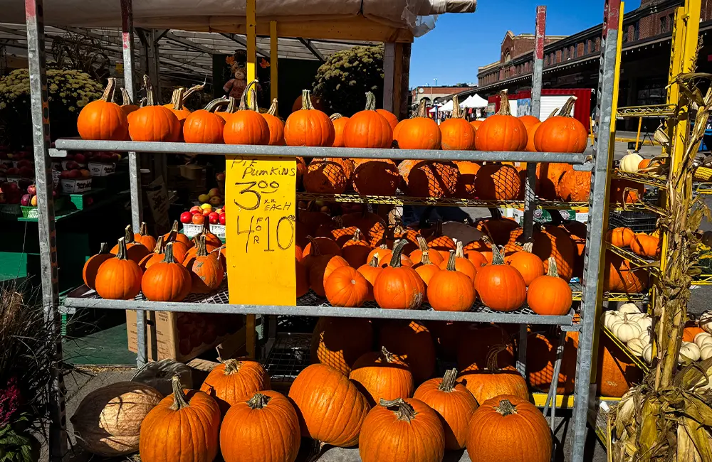 Flowing Together: How Ontario inspired Canada’s Strategic Advisory Group (and will inspire you too) 24 Pumpkins
